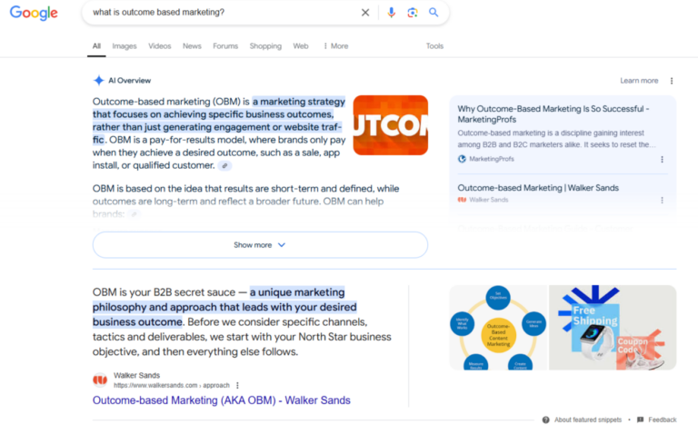 OBM search query Google AI overview example